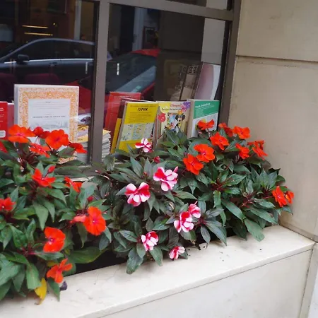 酒店 杜勒芒酒店