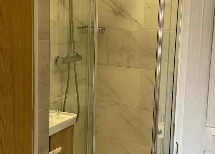 デュ レマン ホテル